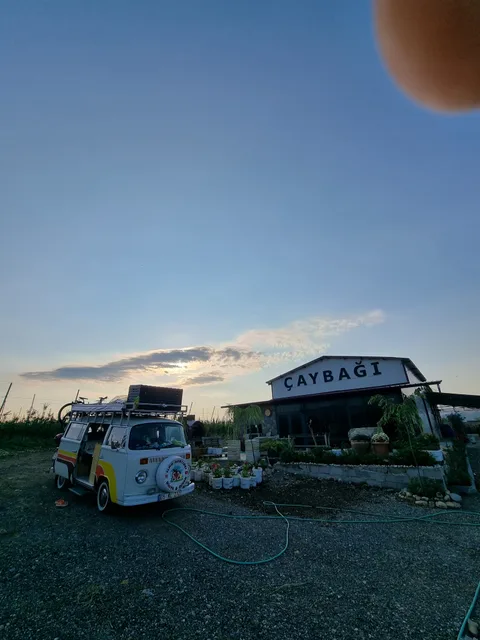 ÇAYBAĞI KALECİK ŞARAP Fabrikası