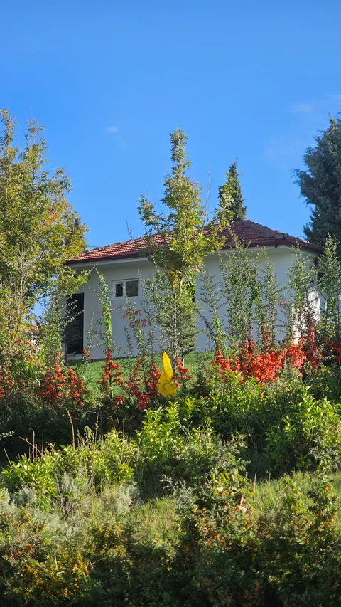 Yakınca, Yeşilyurt Beylerderesi Sosyal Tesisleri