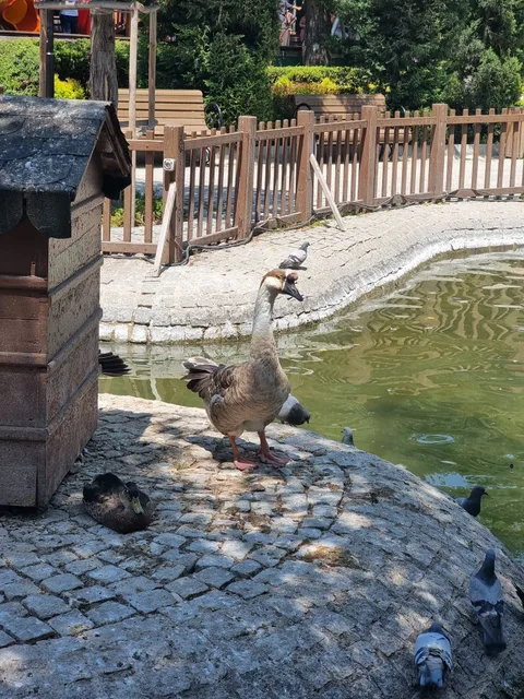 Çankaya, Çankaya
