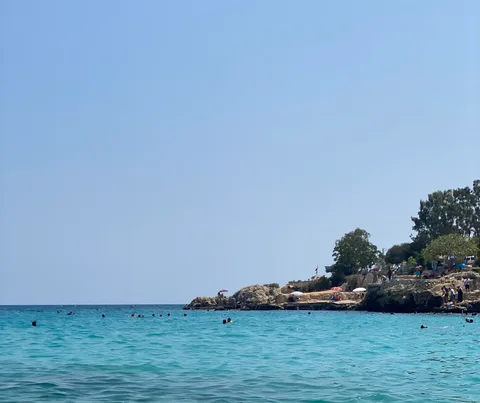 Yapraklı Koyu