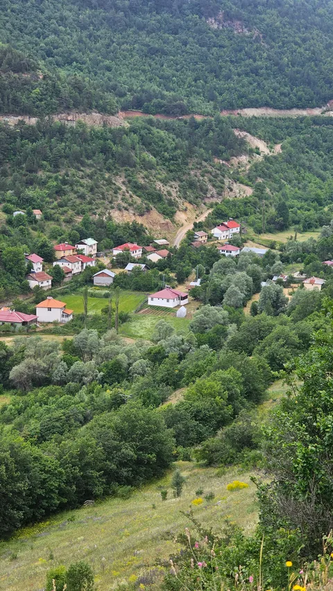Mesudiye, Esatlı