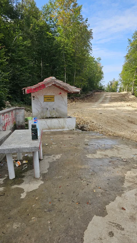Başçiftlik, Sarıağıl
