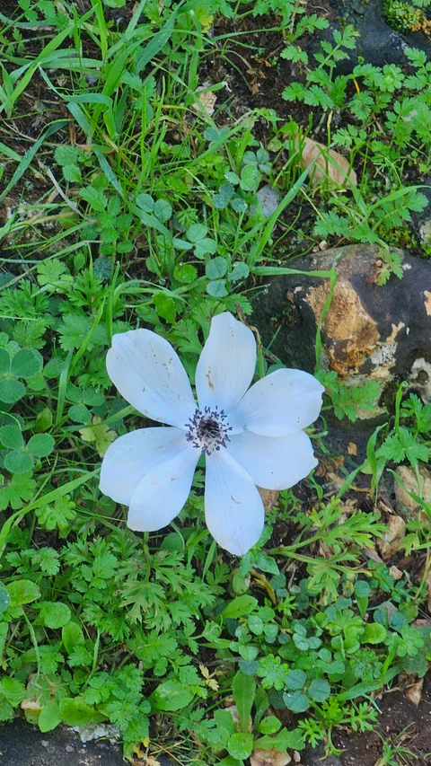 Demre, Kaleüçağız