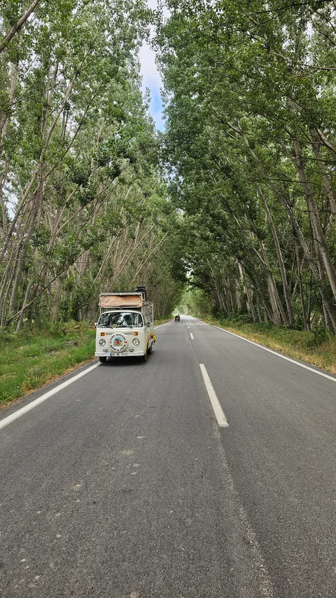 Pazar, Tatarköy