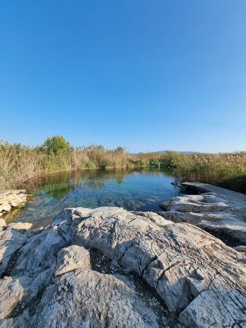 Selçuk, Zeytinköy