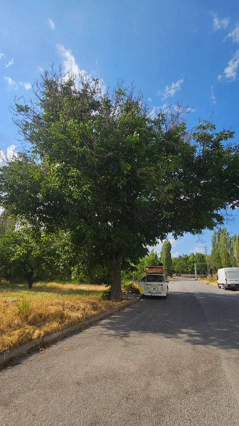 Kayseri Develi