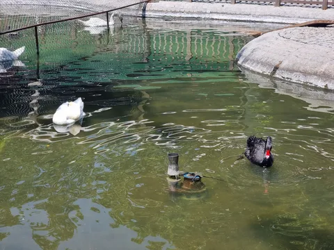 Çankaya, Çankaya