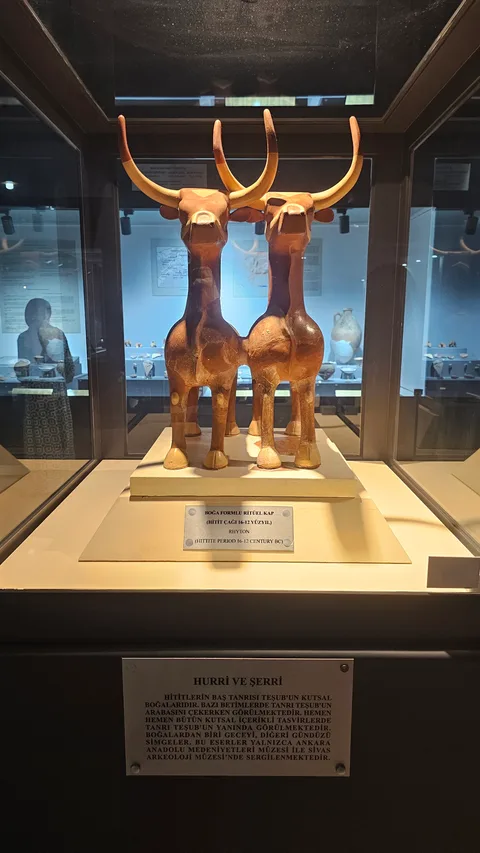 Sivas Belediyesi, Eskikale