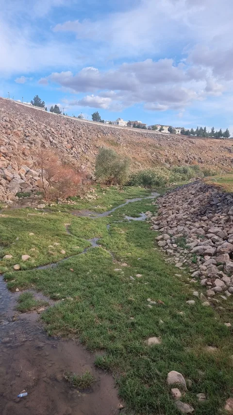 Viranşehir