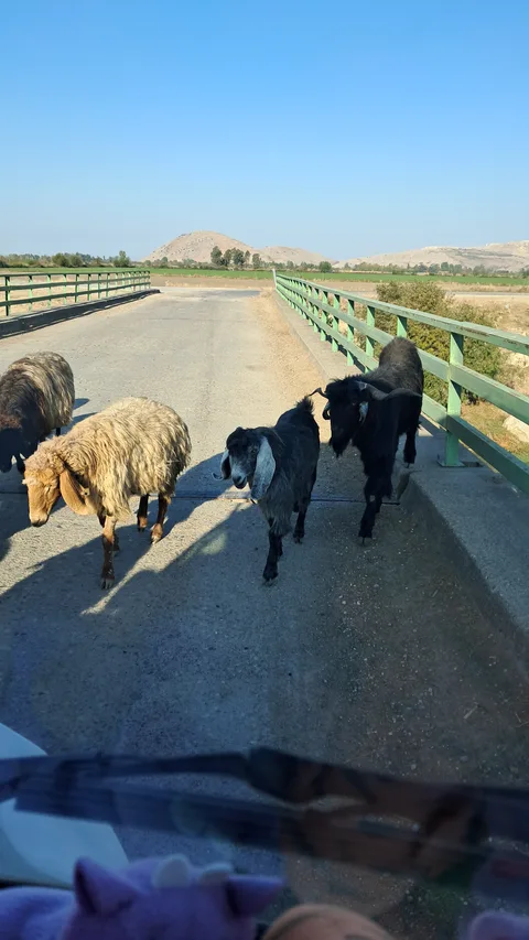 Kadirli, Mecidiye