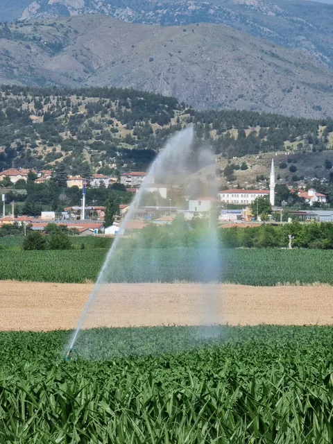 ÇAYBAĞI KALECİK ŞARAP Fabrikası