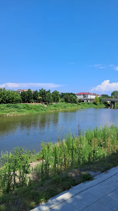Gülyalı, Turnasuyu