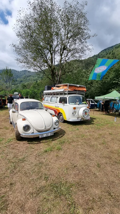 Çamlıhemşin, Şenyuva