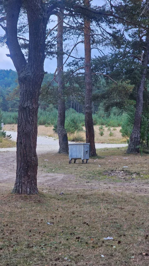 Başçiftlik, Dağüstü