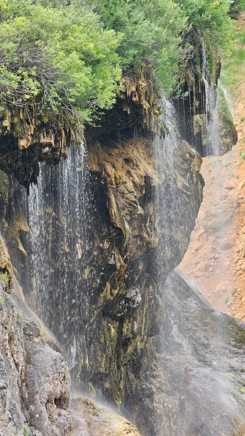 Doğanşar, Darıkol