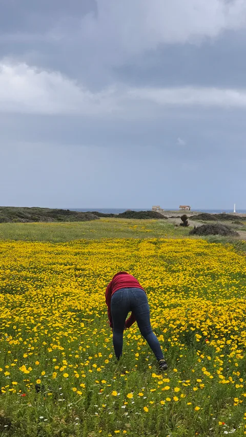 Kıbrıs Koruçam Burnu