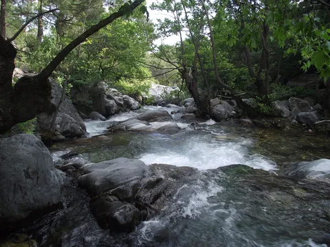 Sütüven Şelalesi