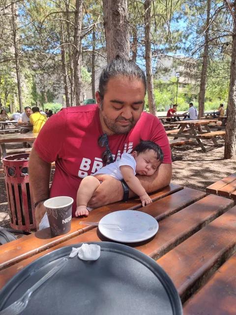 ODTÜ Devrim Ormanı