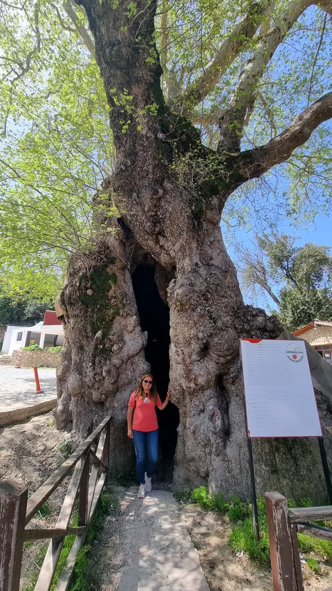 Samandağ, Hıdırbey