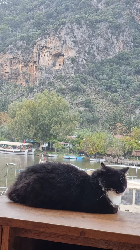 Kaunos Kral Cafe