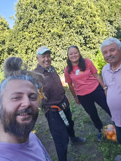 Finike, Hasyurt