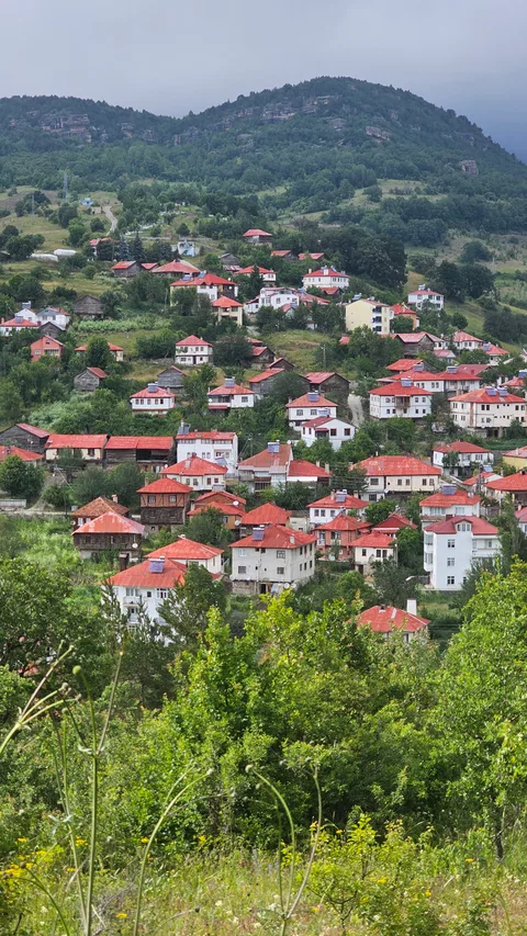 Mesudiye, Yeşilce