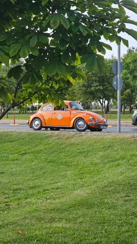 Samsun Batıpark