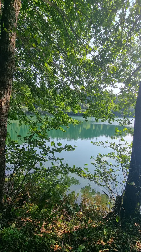 Artvin Şavşat Karagöl Milli Parkı