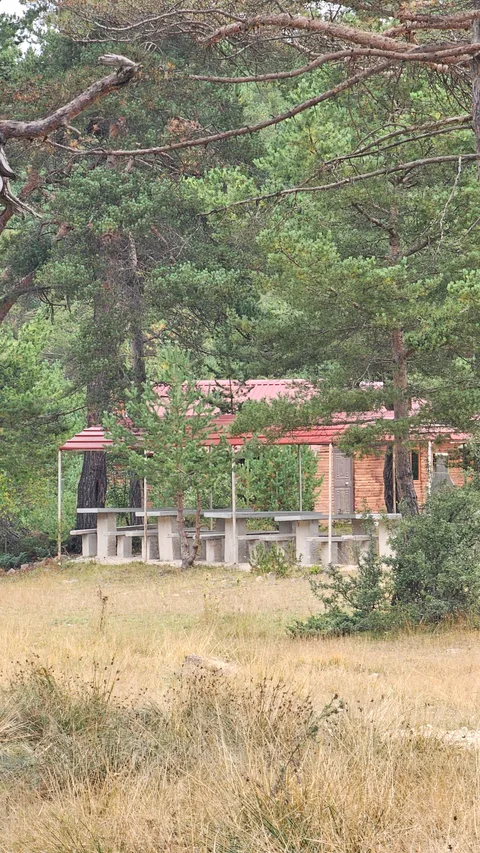 Başçiftlik, Dağüstü