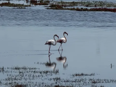 Tuzlu Su Kaynağı