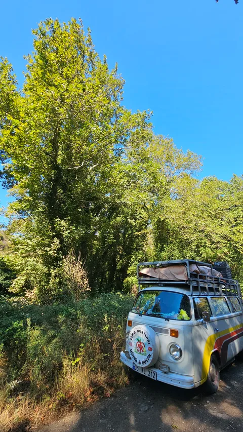 Bandırma Yenice
