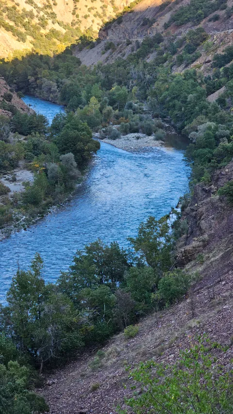 Tunceli Merkez, Dilek