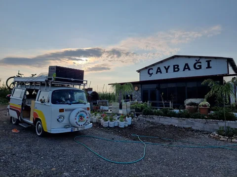 ÇAYBAĞI KALECİK ŞARAP Fabrikası