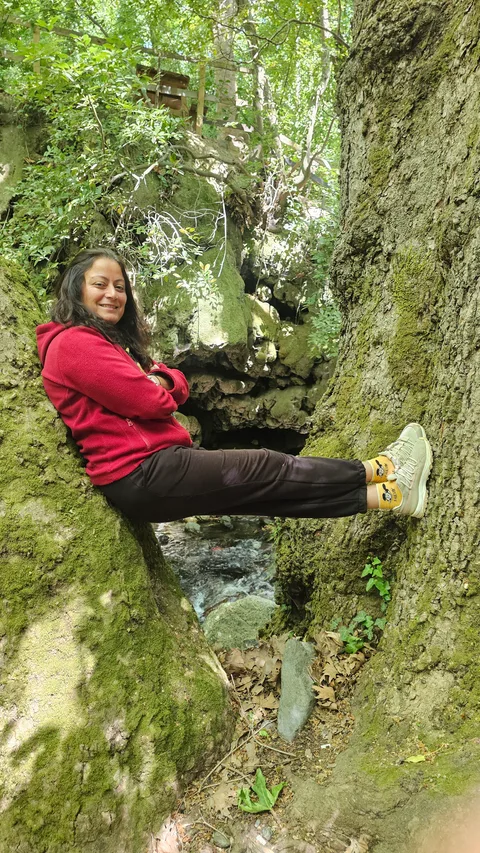 Edremit, Güre