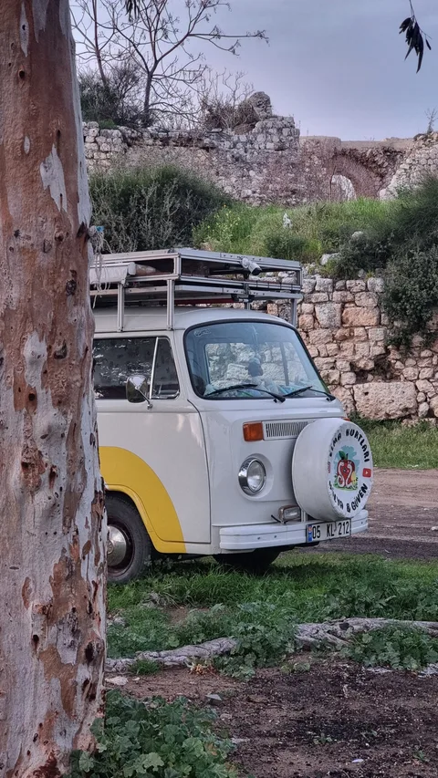 Erdemli, Tırtar
