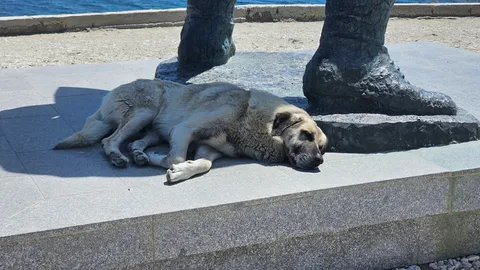 Çanakkale
