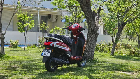 Burhaniye, Ali Çetinkaya