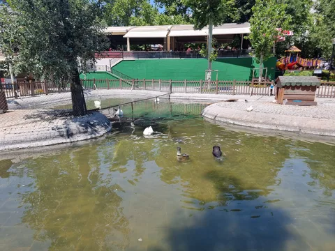 Çankaya, Çankaya
