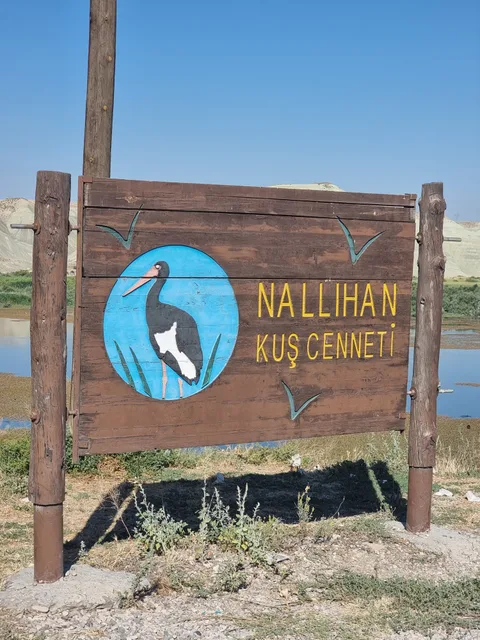 Nallıhan Kuş Cenneti