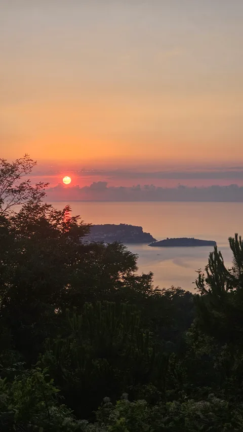 Amasra, Ahatlar