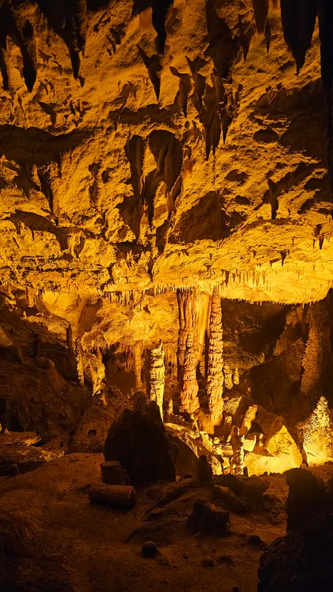 Kozlu, Güney