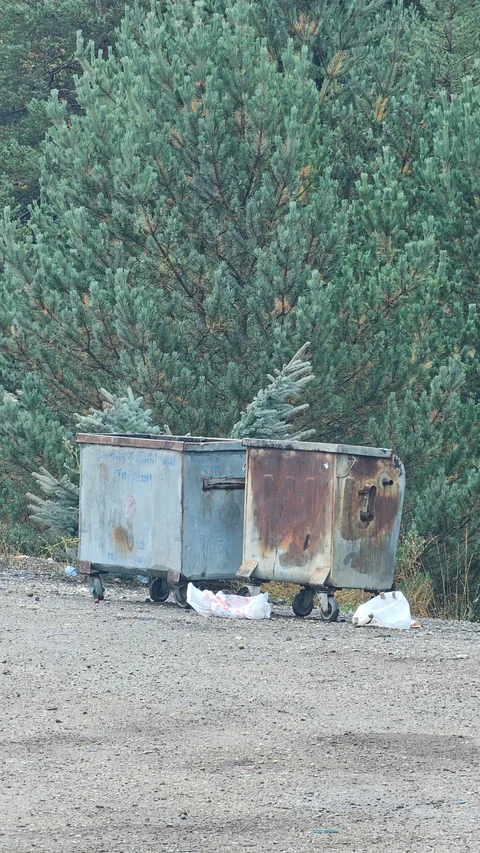 Yeniköy, Refahiye