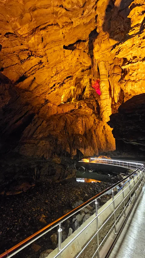 Kozlu, Güney