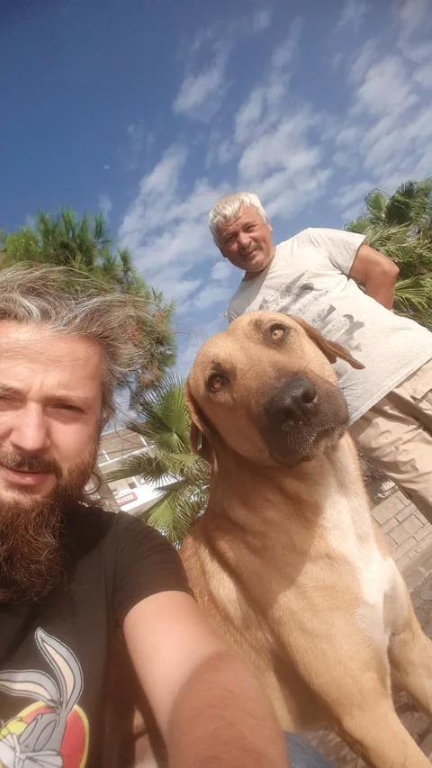 Zeytinli Kuyu Plajı