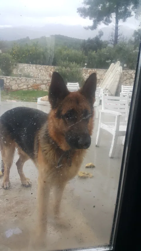 Seydikemer, Döğer
