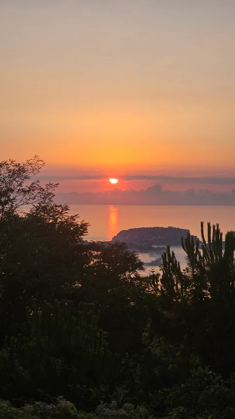 Amasra, Ahatlar