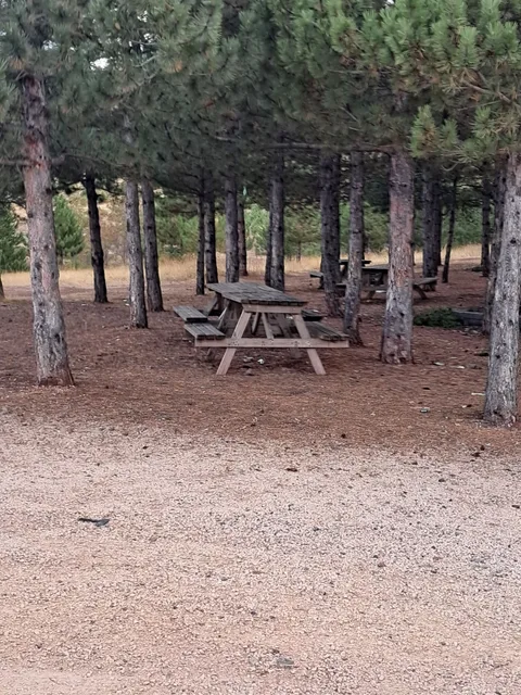 Suşehri Doğada Ücretsiz Kamp
