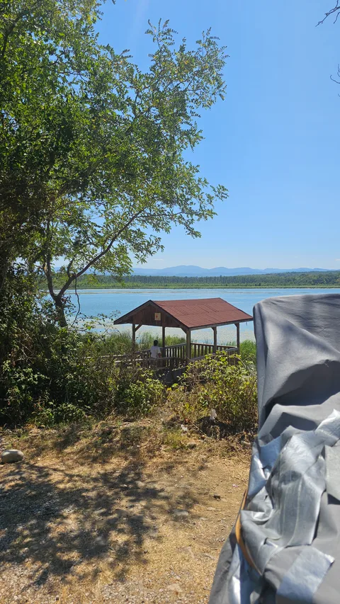 Sinop Merkez, Sarıkum