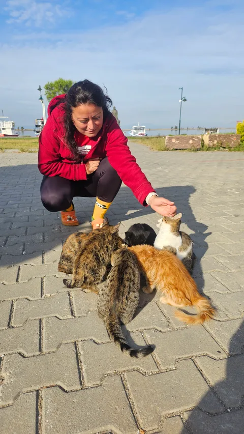 Ayvalık, Altınova