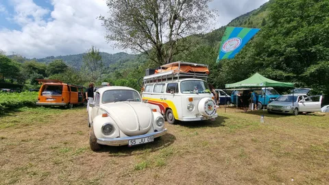 Çamlıhemşin, Şenyuva